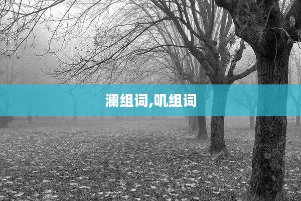 澜组词,叽组词