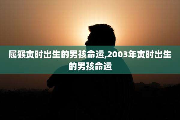 属猴寅时出生的男孩命运,2003年寅时出生的男孩命运