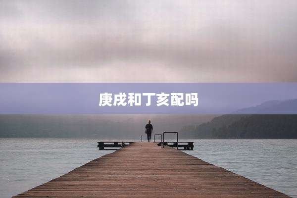庚戌和丁亥配吗