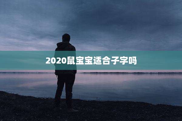 2020鼠宝宝适合子字吗