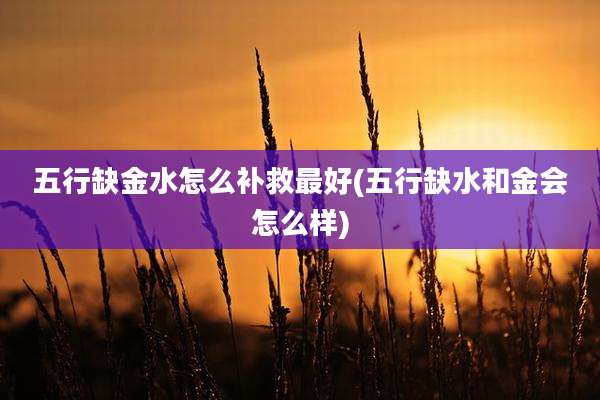 五行缺金水怎么补救最好(五行缺水和金会怎么样)