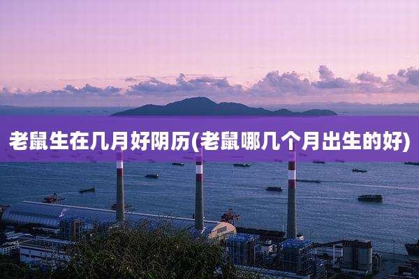 老鼠生在几月好阴历(老鼠哪几个月出生的好)