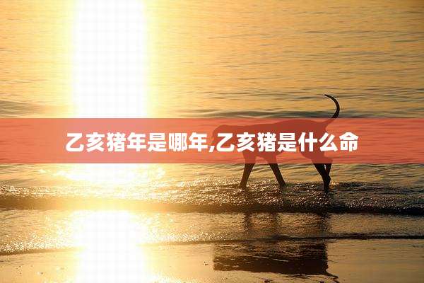 乙亥猪年是哪年,乙亥猪是什么命