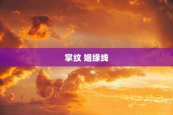 掌纹 姻缘线