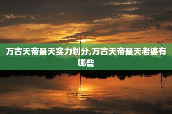 万古天帝聂天实力划分,万古天帝聂天老婆有哪些