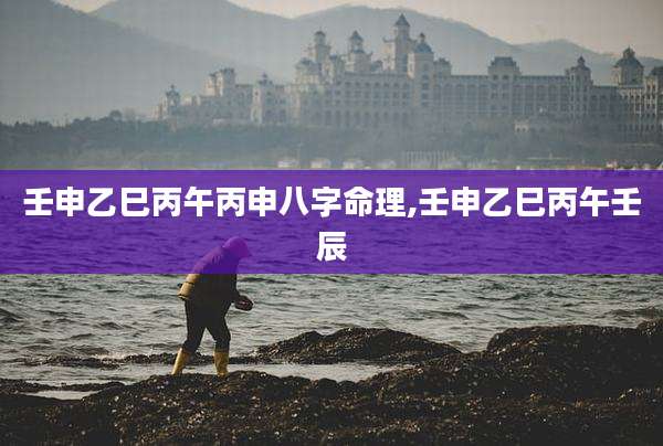 壬申乙巳丙午丙申八字命理,壬申乙巳丙午壬辰