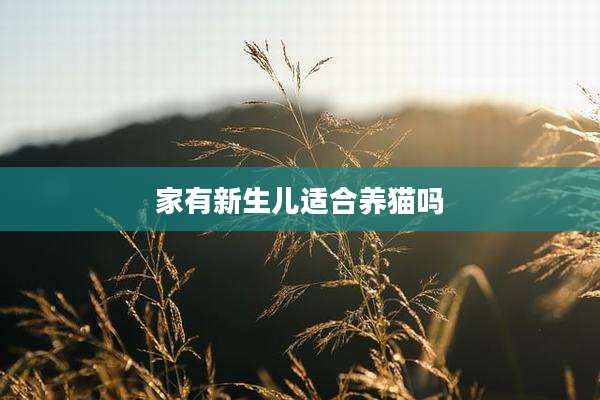 家有新生儿适合养猫吗