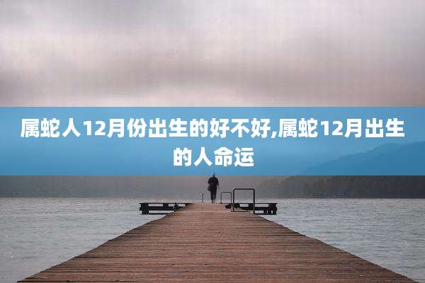 属蛇人12月份出生的好不好,属蛇12月出生的人命运
