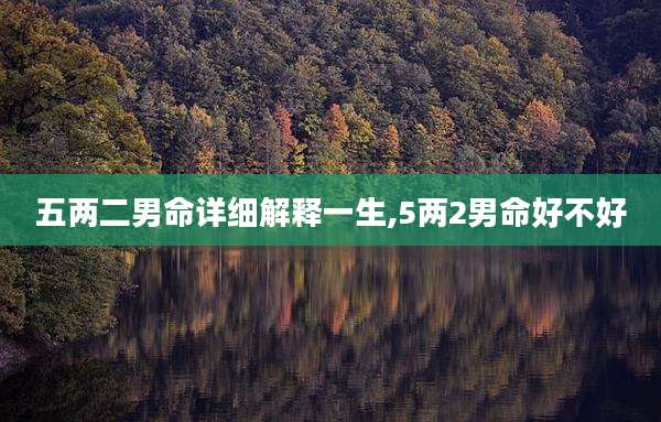 五两二男命详细解释一生,5两2男命好不好