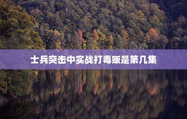 士兵突击中实战打毒贩是第几集