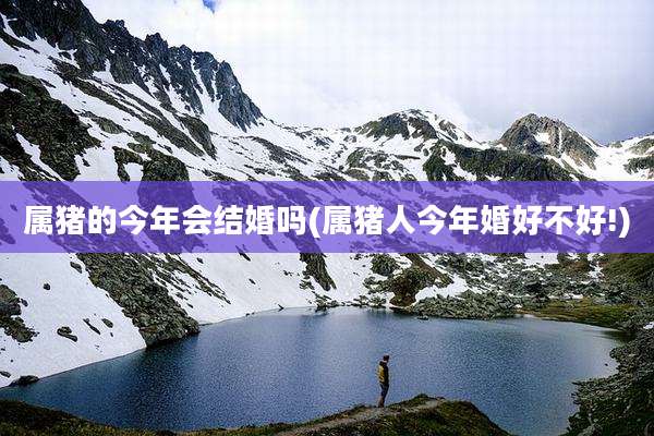 属猪的今年会结婚吗(属猪人今年婚好不好!)