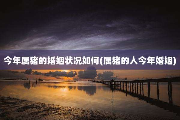 今年属猪的婚姻状况如何(属猪的人今年婚姻)