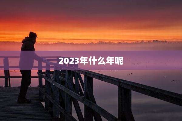2023年什么年呢