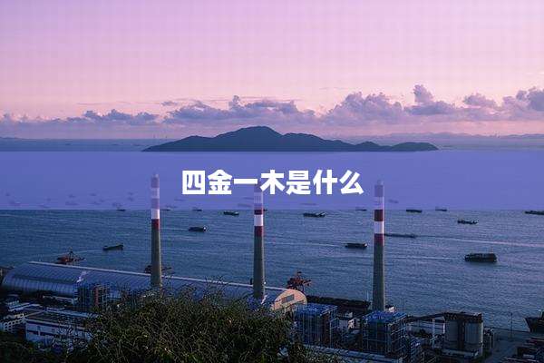 四金一木是什么