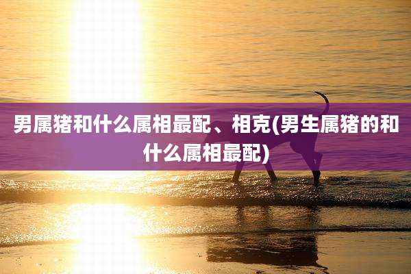 男属猪和什么属相最配、相克(男生属猪的和什么属相最配)