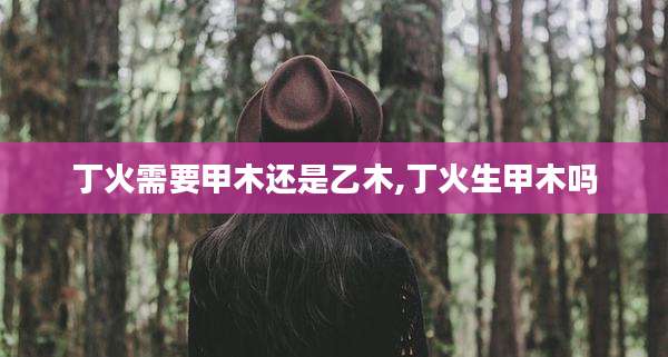 丁火需要甲木还是乙木,丁火生甲木吗