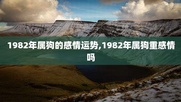 1982年属狗的感情运势,1982年属狗重感情吗