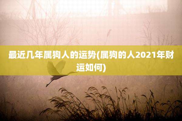 最近几年属狗人的运势(属狗的人2021年财运如何)
