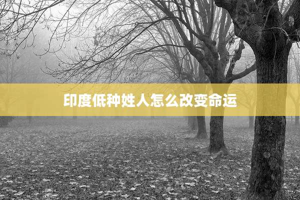 印度低种姓人怎么改变命运