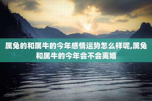 属兔的和属牛的今年感情运势怎么样呢,属兔和属牛的今年会不会离婚