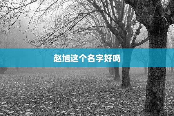 赵旭这个名字好吗
