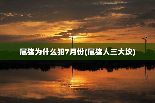 属猪为什么犯7月份(属猪人三大坎)