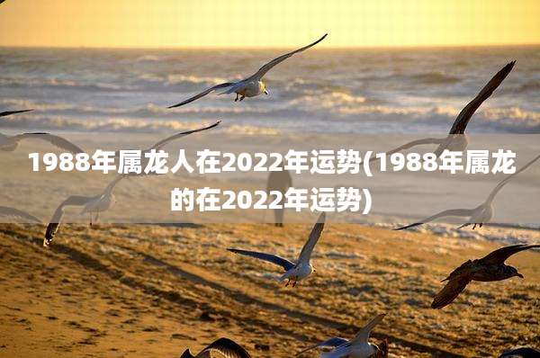 1988年属龙人在2022年运势(1988年属龙的在2022年运势)