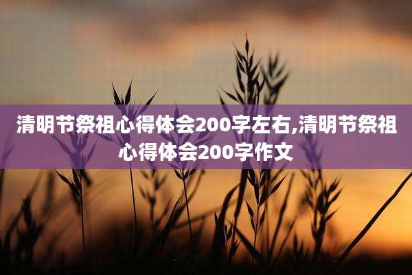 清明节祭祖心得体会200字左右,清明节祭祖心得体会200字作文