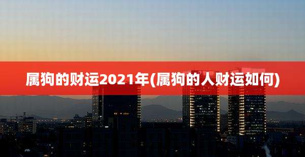 属狗的财运2021年(属狗的人财运如何)