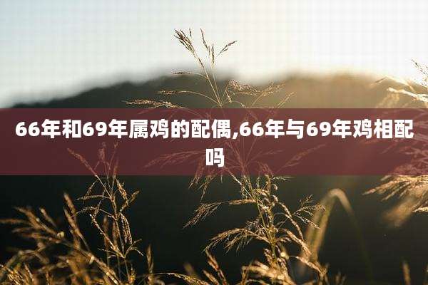 66年和69年属鸡的配偶,66年与69年鸡相配吗