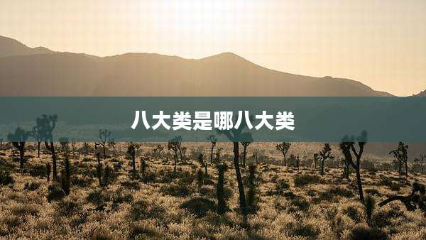八大类是哪八大类