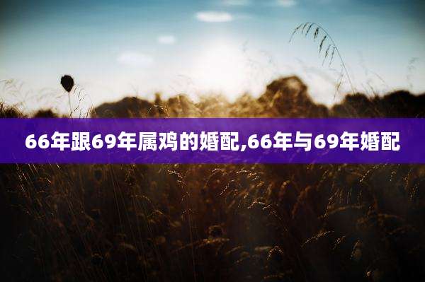 66年跟69年属鸡的婚配,66年与69年婚配