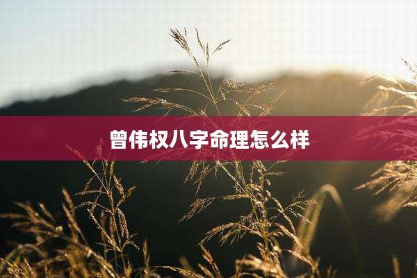 曾伟权八字命理怎么样