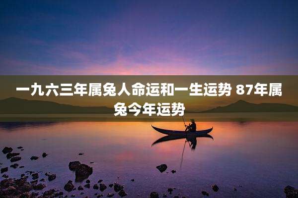 一九六三年属兔人命运和一生运势 87年属兔今年运势