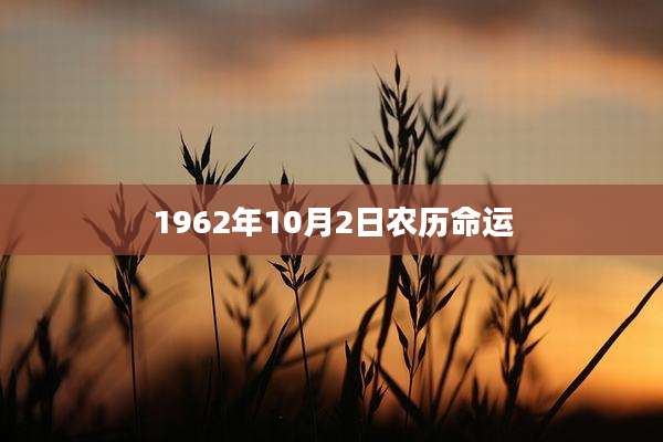 1962年10月2日农历命运
