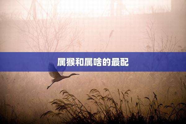 属猴和属啥的最配