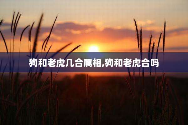 狗和老虎几合属相,狗和老虎合吗