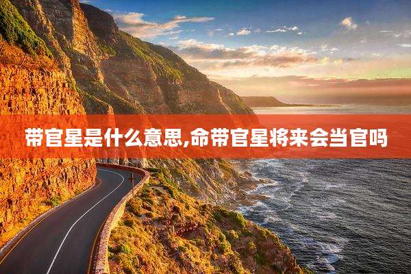 带官星是什么意思,命带官星将来会当官吗
