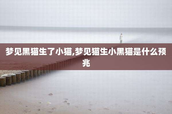 梦见黑猫生了小猫,梦见猫生小黑猫是什么预兆