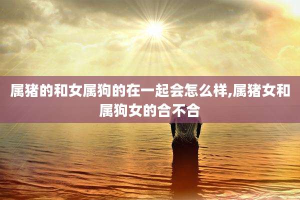 属猪的和女属狗的在一起会怎么样,属猪女和属狗女的合不合