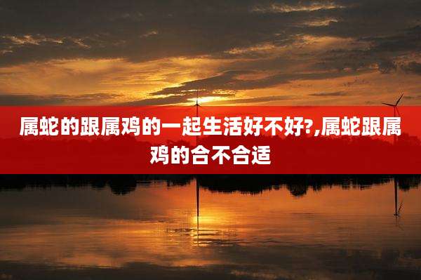 属蛇的跟属鸡的一起生活好不好?,属蛇跟属鸡的合不合适