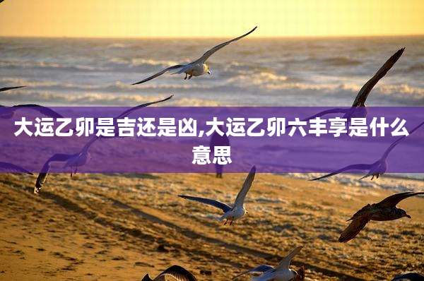 大运乙卯是吉还是凶,大运乙卯六丰享是什么意思