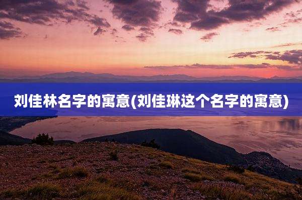 刘佳林名字的寓意(刘佳琳这个名字的寓意)