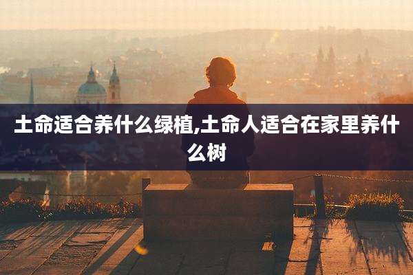 土命适合养什么绿植,土命人适合在家里养什么树