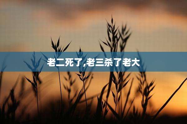 老二死了,老三杀了老大