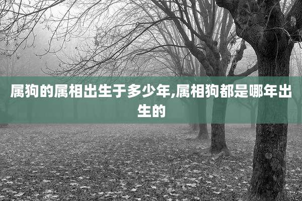 属狗的属相出生于多少年,属相狗都是哪年出生的
