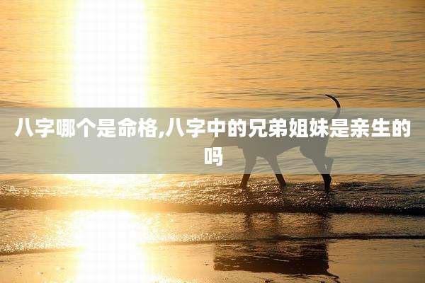 八字哪个是命格,八字中的兄弟姐妹是亲生的吗