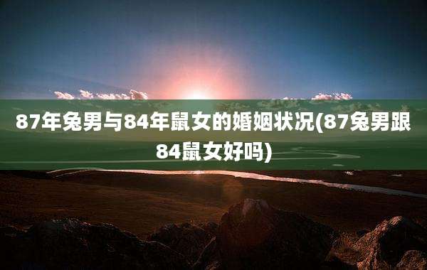 87年兔男与84年鼠女的婚姻状况(87兔男跟84鼠女好吗)