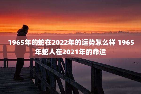 1965年的蛇在2022年的运势怎么样 1965年蛇人在2021年的命运
