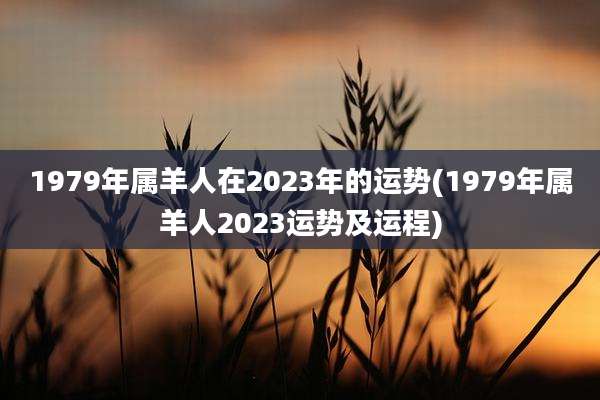 1979年属羊人在2023年的运势(1979年属羊人2023运势及运程)